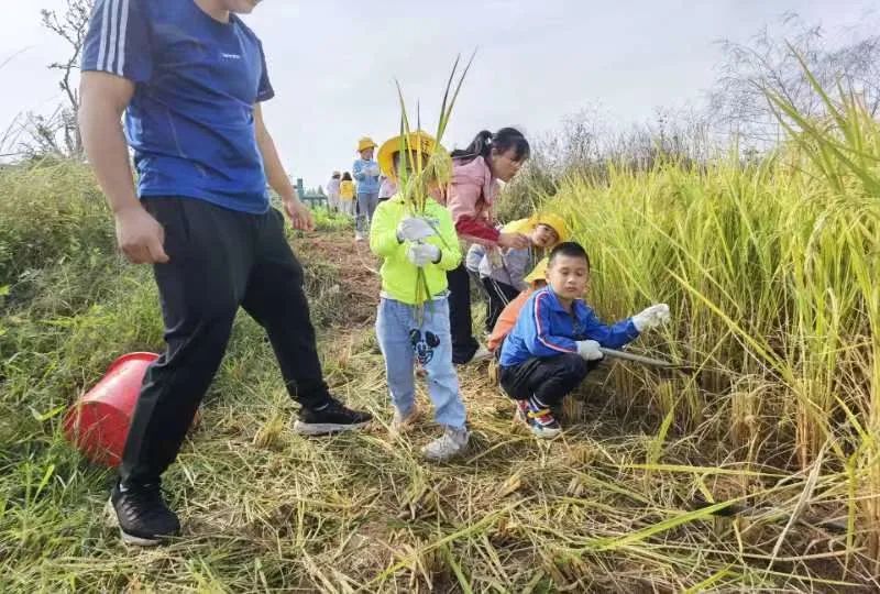 春季穿搭文案_天津对外经济贸易职业学院春季自主招生工作方案_幼儿园春季招生文案