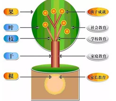 陕西省教育招生机构_教育机构如何招生_石家庄夏令营机构招生