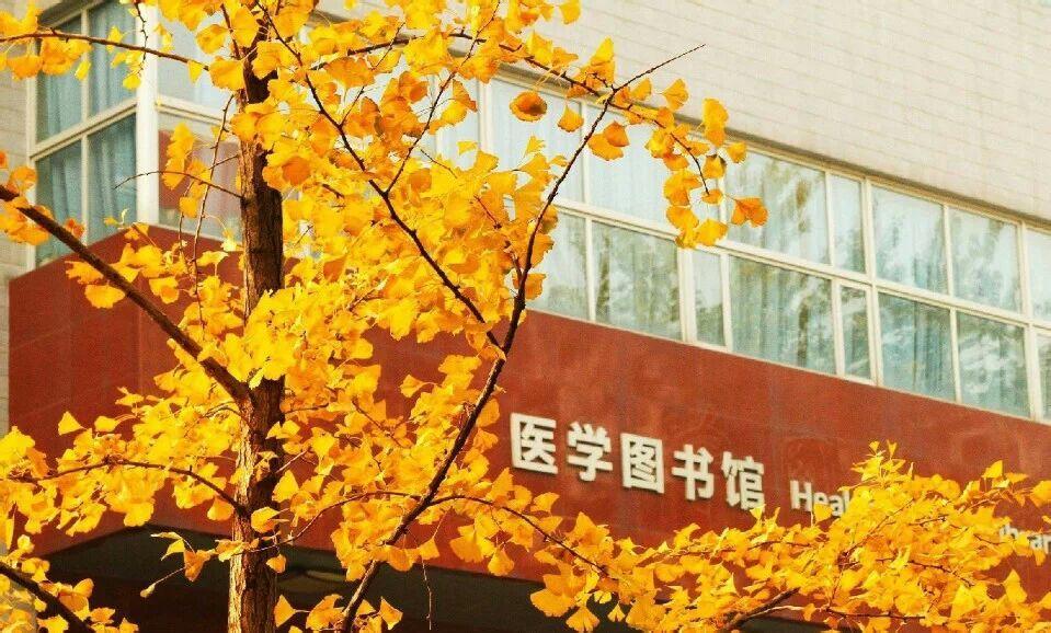 北京八中寄宿部招生_北京邮电大学2014自主招生_北京大学医学部招生计划