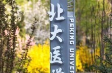 北京大学医学部和北京大学不是一个招生代码，拥有北京大学毕业证