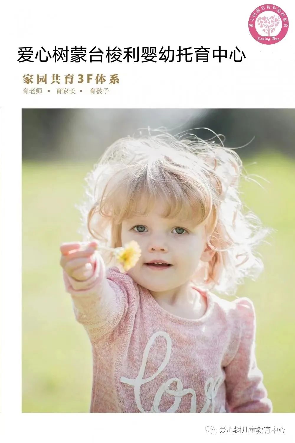 幼儿托育中心招生方案_成都婴幼儿托育中心_托育中心和幼儿园区别