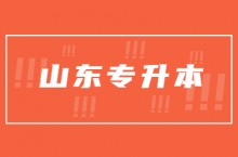 2023年山东专升本录取批次安排及志愿填报