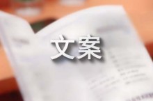 大学招生广告文案