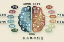 河北哲思忆启学全脑开发条件有哪些？