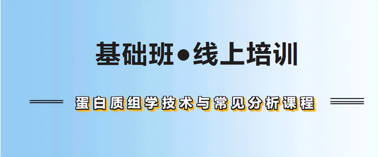 培训班招生方法方案_画画班能吸引人的招生方案_托管班招生方案