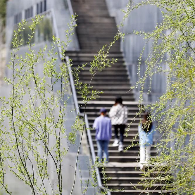 有计划外招生的院校_外专千人计划 千人计划_二本院校排名,要在四川招生