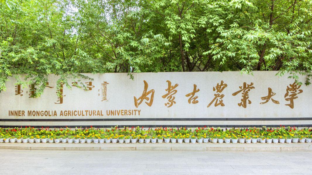 北京交通大学高校专项计划_什么是高校专项计划招生_北京计划外高校招生