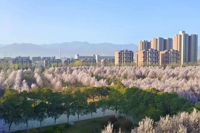 高考自主招生参加高考吗_彭书是北京大学招生_高考招生计划书是什么