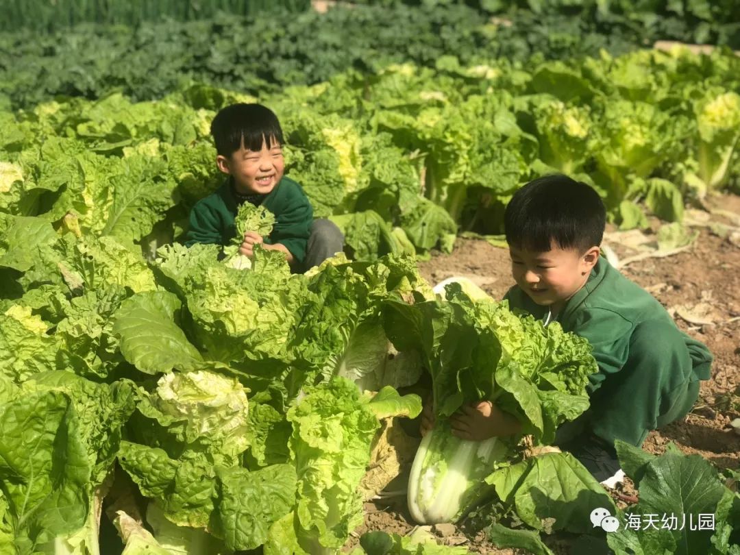 新学期幼儿园招生宣传_幼儿园春学期教研计划_新媒体新闻招生宣传文案