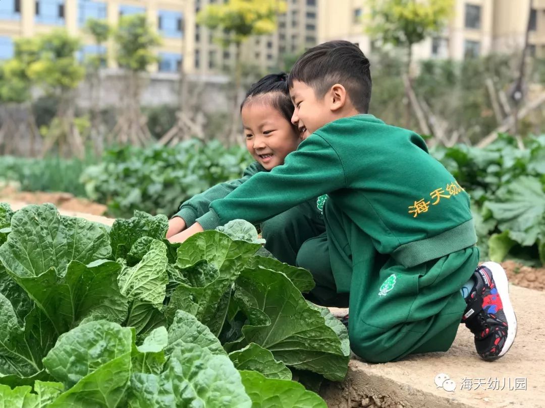 幼儿园春学期教研计划_新媒体新闻招生宣传文案_新学期幼儿园招生宣传