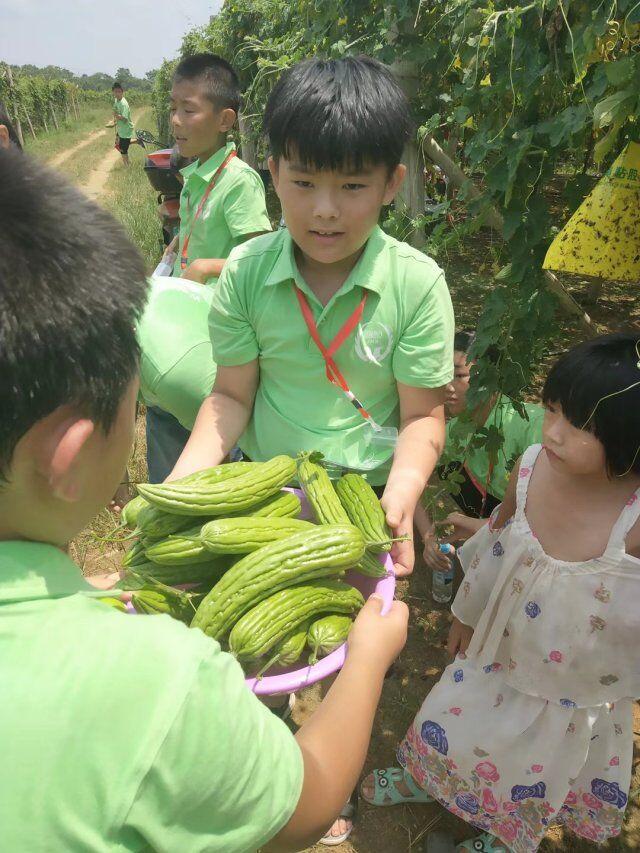 暑假招生如何招生_培训机构暑假班招生宣传广告_寒暑假招生及宣传