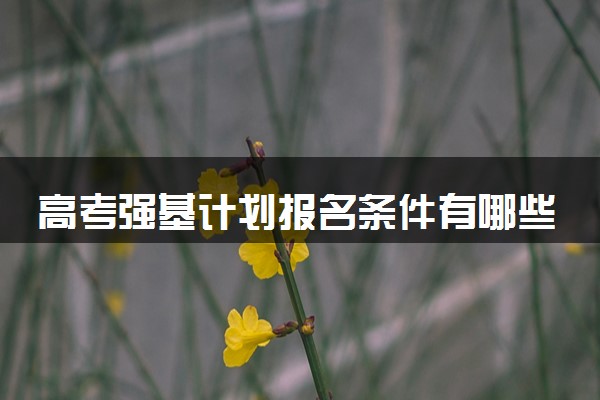 恩施高中浙江大学自主招生农村专项计划条件_报考强基招生计划有什么条件_广东高校计划招生招生