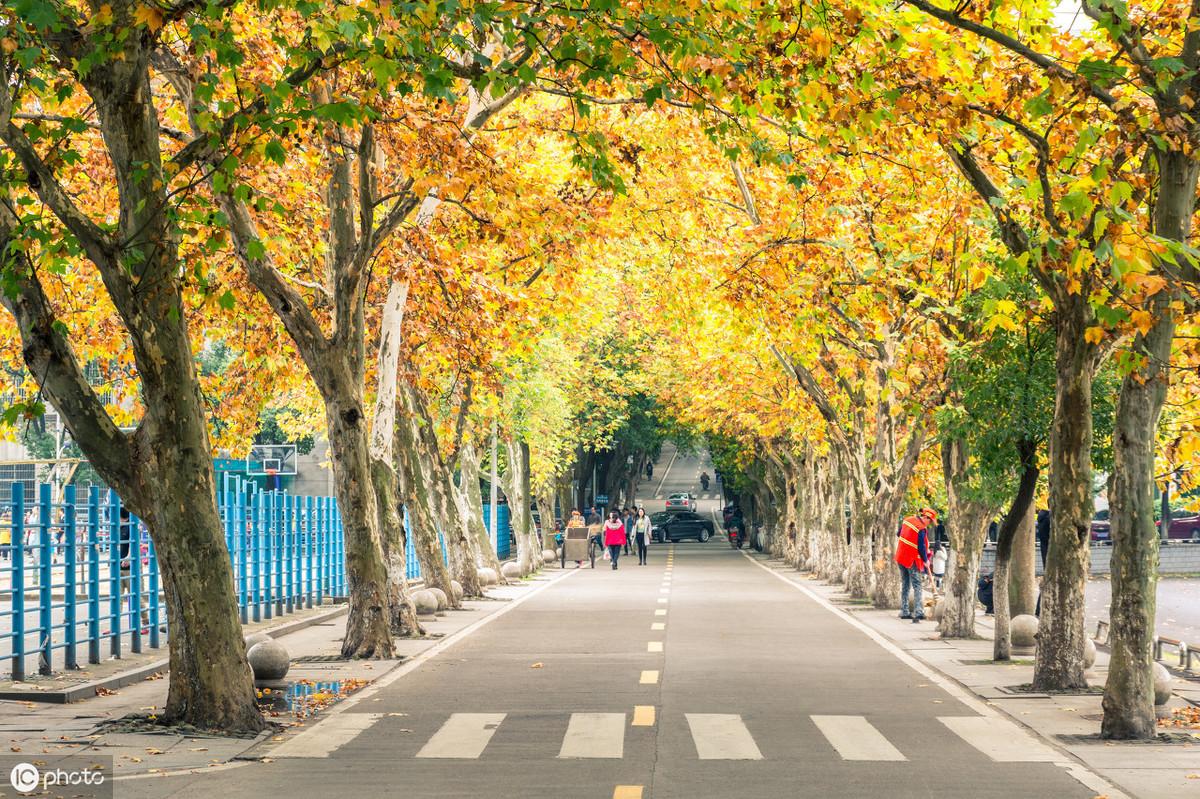 华北水利水电大学专升本招生计划_华北水电水利大学分数_华北水电水利大学在哪